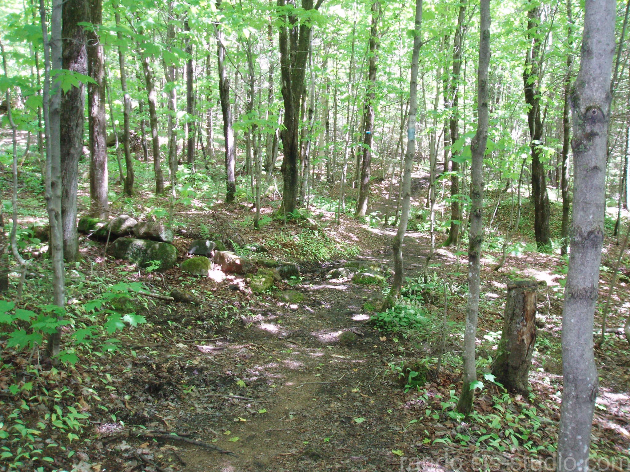 Allure du sentier