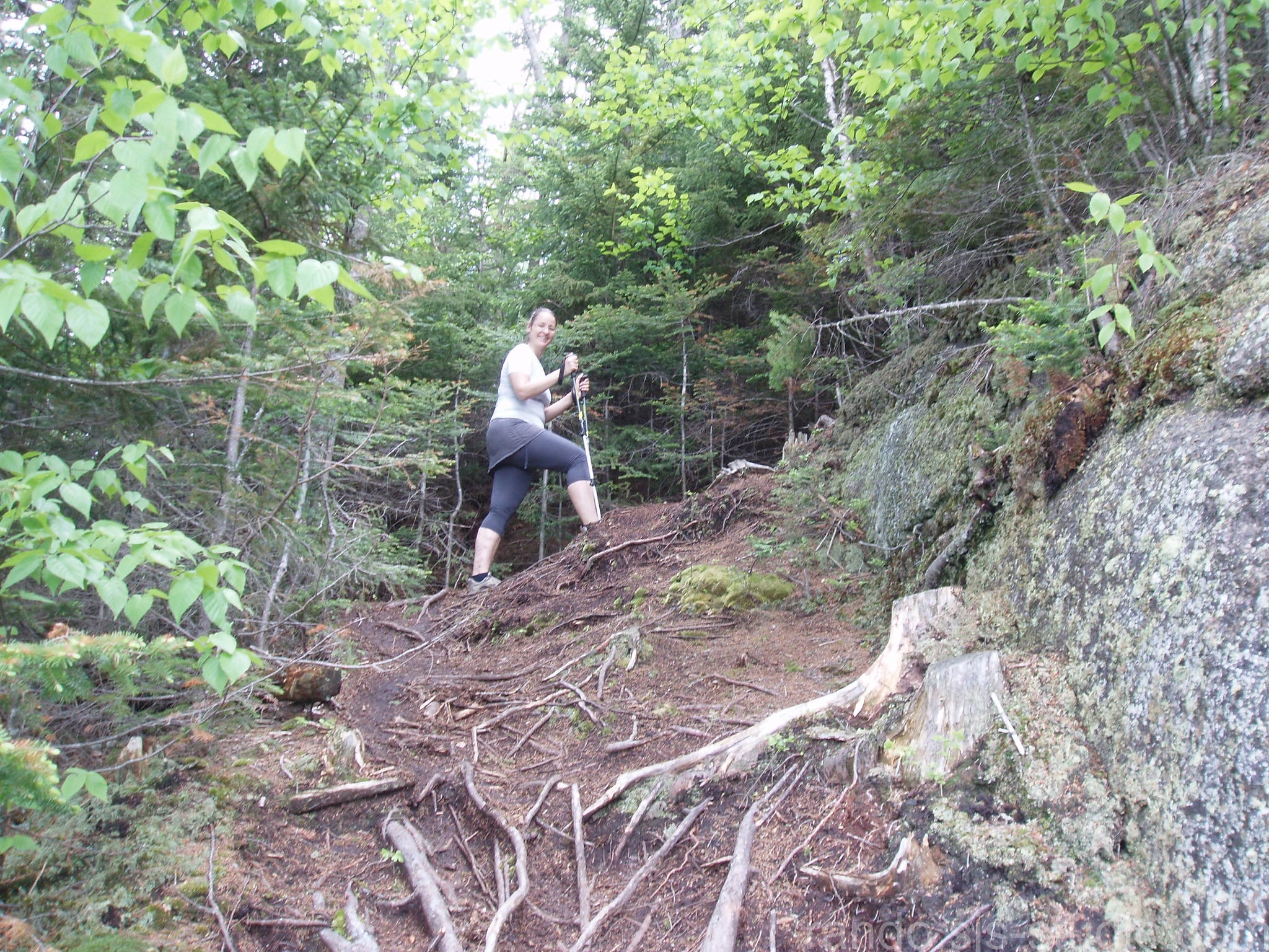 Sentier du belvédère 2