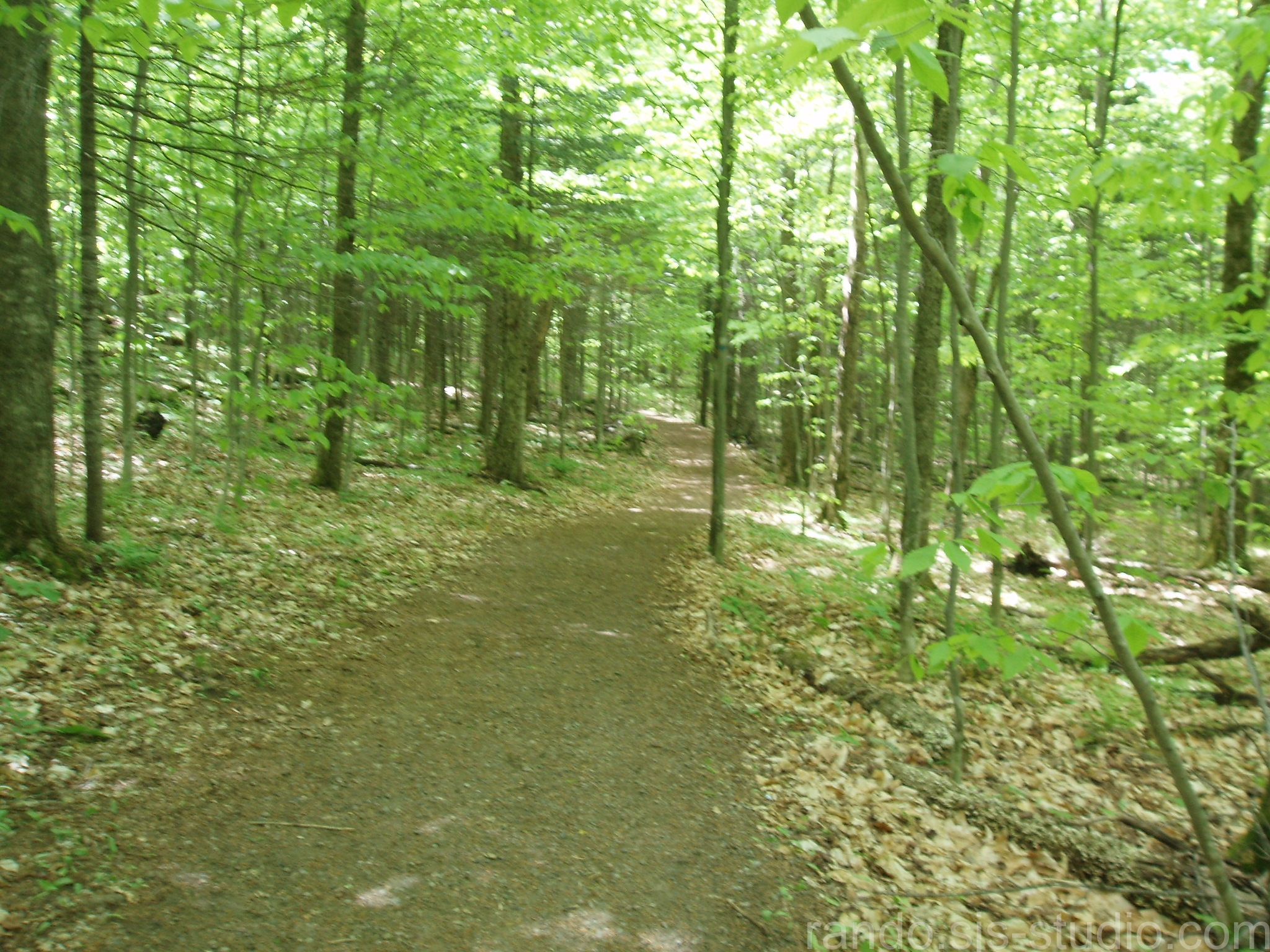 Aperçu du sentier au début