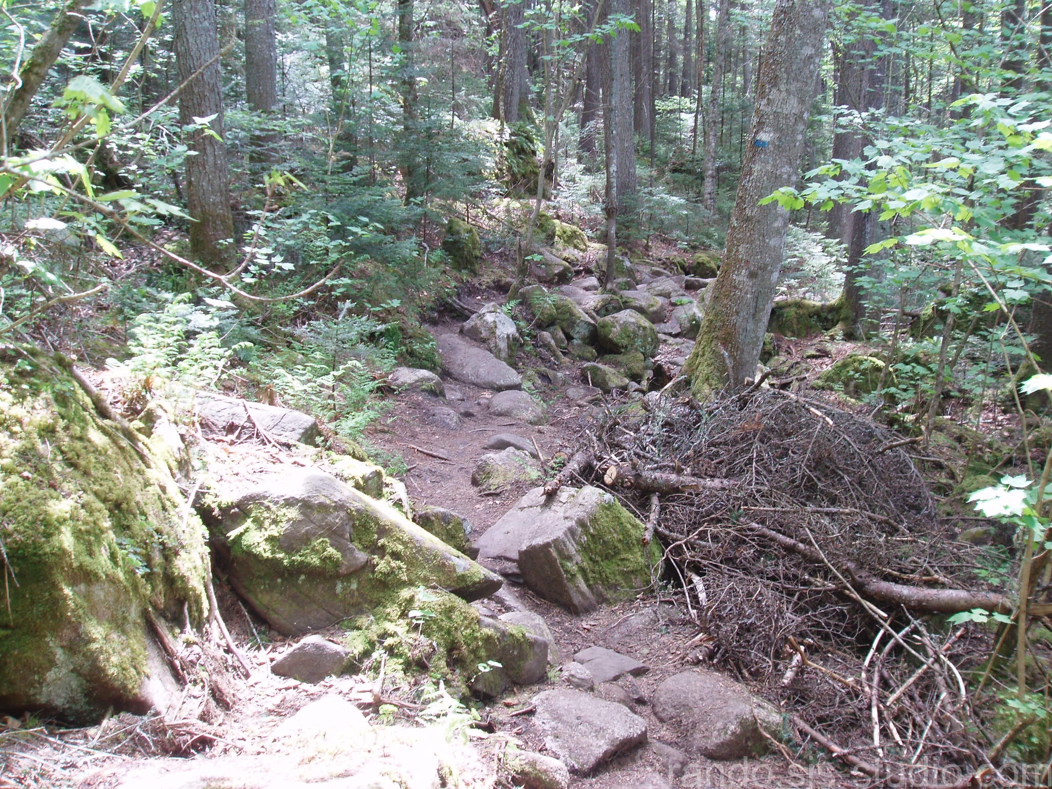 Sentier vers le haut